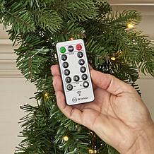 Seasonal LLC Palmetto Pine 24" Lit Green Wreath with Remote Control