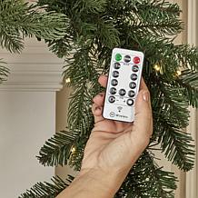Seasonal LLC Palmetto Pine 6' Pre-Lit RGBW Garland w/Remote Control