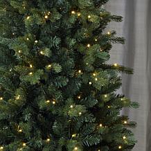 Seasonal LLC Palmetto Pine 6' Pre-Lit RGBW LED Christmas Tree