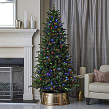 Seasonal LLC Palmetto Pine 6' Pre-Lit RGBW LED Christmas Tree
