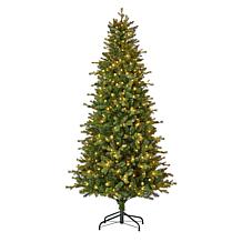 Seasonal LLC Palmetto Pine 6' Pre-Lit RGBW LED Christmas Tree