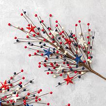 Set of 2 28" Patriotic Berry Picks