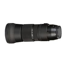 Sigma 150-600mm F5-6.3 DG Contemporary Nikon Mount
