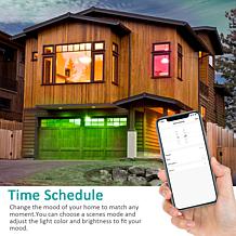 Smart WiFi BR30 E26 Dimmable Flood Light Bulb LB1- 6PK - 11W