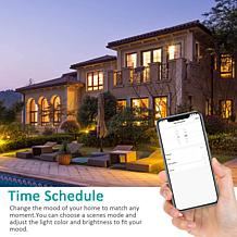 Smart WiFi PAR38 E26 Dimmable Recess Light Bulb LB2 - 8PK