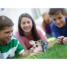 Solar Robot Kit - Build a Solar-Powered Walking Robot