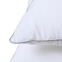 South Street Loft 2-Pack King Comfort Pillows
