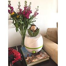 SPT Monkey Ultrasonic Humidifier