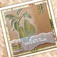 Stamps by Me Fruit Finesse Card Making 22pc Kit with Stamps & Folders