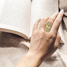 Stately Steel Covered Curvy Shape CZ Ring