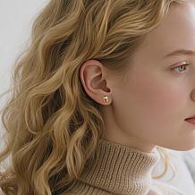 Stately Steel Stainless Steel Ball Stud Earrings