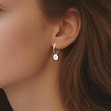 Stately Steel Stainless Steel Full Moon CZ Dangle Earrings