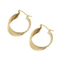 Stately Steel Stainless Steel Overlapping Hoop Earrings