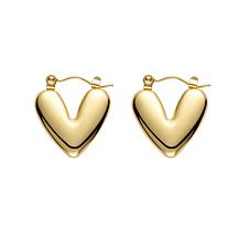 Stately Steel Stainless Steel V Shape Earrings