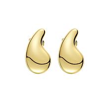 Stately Steel Stainless Steel Water Drop Earrings