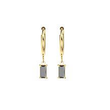 Stately Steel Stone Hoop Dangle Earrings