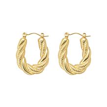 Stately Steel Twisted Hoop Earrings