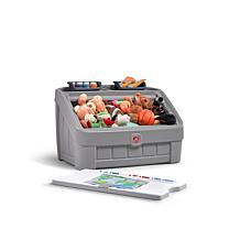 https://i03.hsncdn.com/is/image/HomeShoppingNetwork/prodgrid/step2-2-in-1-toy-box-and-art-lid-gray-d-2021032916100392~20083455w.jpg