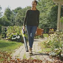 Sun Joe 24-Volt 100MPH Turbine Garden Blower