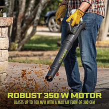 Sun Joe 24-Volt Cordless Garden Blower