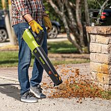 Sun Joe 24V 2Ah Turbine Cordless Jet Blower