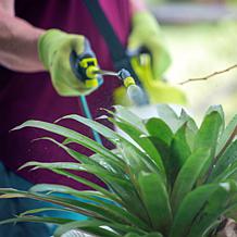 Sun Joe 4-Volt Cordless All-Purpose Chemical Sprayer
