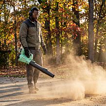 Sun Joe Go 20V Garden Blower with Variable Speed