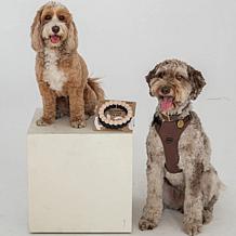 SuperChew Rings Aggressive Chew Toy 2-pack