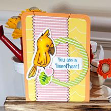 The Stamps of Life Inside Scallop Circles Die Set