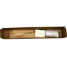 Trumpet Vine Flava Root Stock