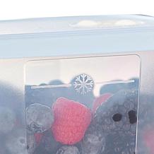 Tupperware 10-piece Date, Store & Freeze Food Storage Set