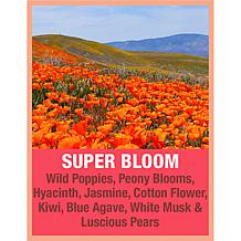 Tweak'd by Nature SuperBloom 2XL Lift & Style ThermoFoam-to-Elixir
