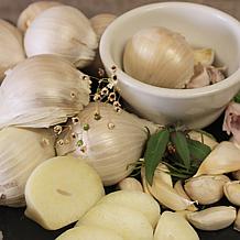 Van Zyverden Elephant Garlic Set of 3 Cloves