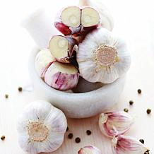 Van Zyverden Garlic Softneck Silverskin Inchelium Red Set of 5 Bulbs