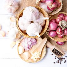 Van Zyverden Garlic Standard Purple Strip Chesnok Red - 3 Cloves