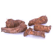 Van Zyverden Horseradish Set of 5 Plants