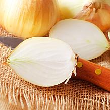 Van Zyverden Onion Sets Yellow Set of 250 Bulbs