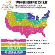 Van Zyverden Ornamental Grass Pink Muhly 1 Dormant Plant