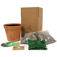 Van Zyverden Patio Gardening Strawberry Quinault Kit