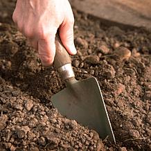 Van Zyverden Patio White Romance Lilies Kit