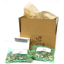 Van Zyverden Sun Bulb Patio Container Collection - Set of 25 Bulbs