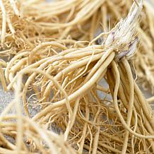 VanZyverden Hosta Patriot - Set of 3 Roots