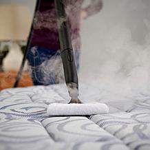 Wagner 915e Power Steam Cleaner with Accessories