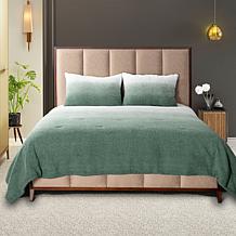 Warm & Cozy Teddy Comforter Set