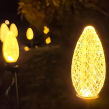 Winter Lane Oversized C9 20-Piece String Lights with Remote