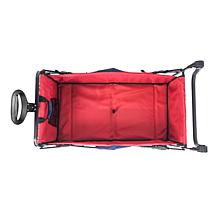 Wonderfold Wagon Beach Tire Push and Pull Folding Wagon