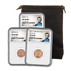 2017 P-Mint & 2025 P- & D-Mint MS66 NGC Lincoln Shield Cents Set of 3