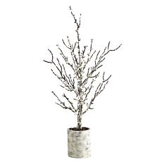 24 in. Snowed Twig Artificial Tree in Decorative Planter