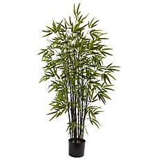 4 Ft. Black Bamboo Tree