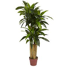 4 Ft. Corn Stalk Dracaena Silk Plant Real Touch